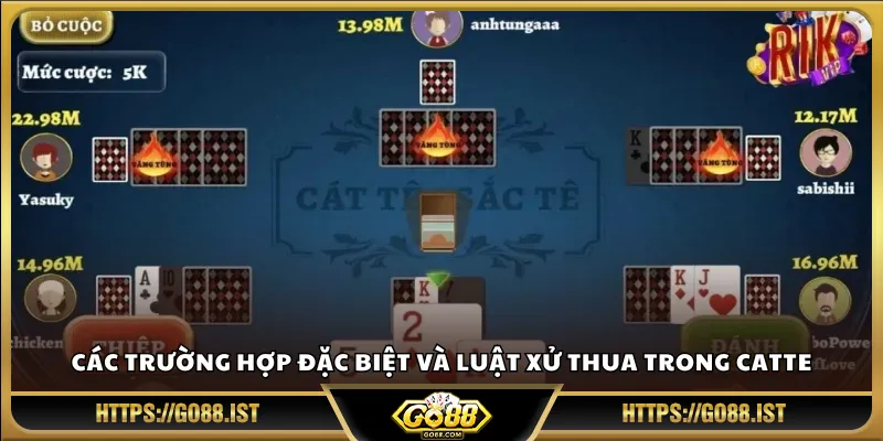 Các trường hợp đặc biệt và luật xử thua trong Catte